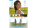 ipzz-810 番号封面和简介在线预览观看
