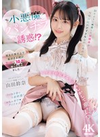 ipzz-740 番号封面和作品简介在线观看