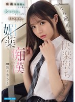 ipzz-743 番号封面和作品简介在线观看