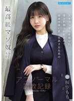 ipzz-912 番号封面和作品简介在线观看