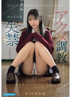 ipzz-924 番号封面和作品简介在线观看