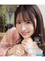ipzz-841 番号封面和作品简介在线观看