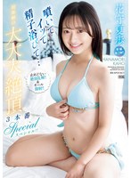 ipzz-518 番号封面和作品简介在线观看