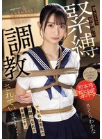 ipzz-653 番号封面和作品简介在线观看